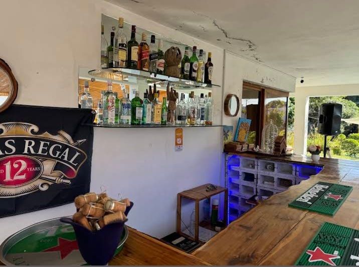 Imagem da galeria do PALMEIRAS